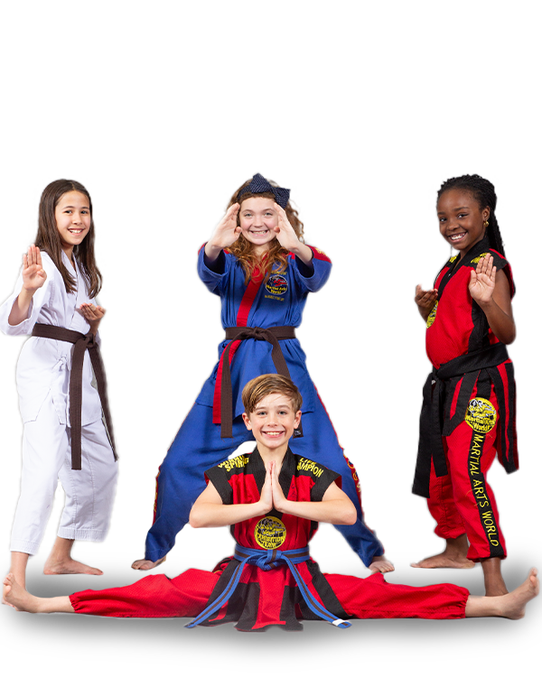 After School Martial Arts Program in Chester Virginia